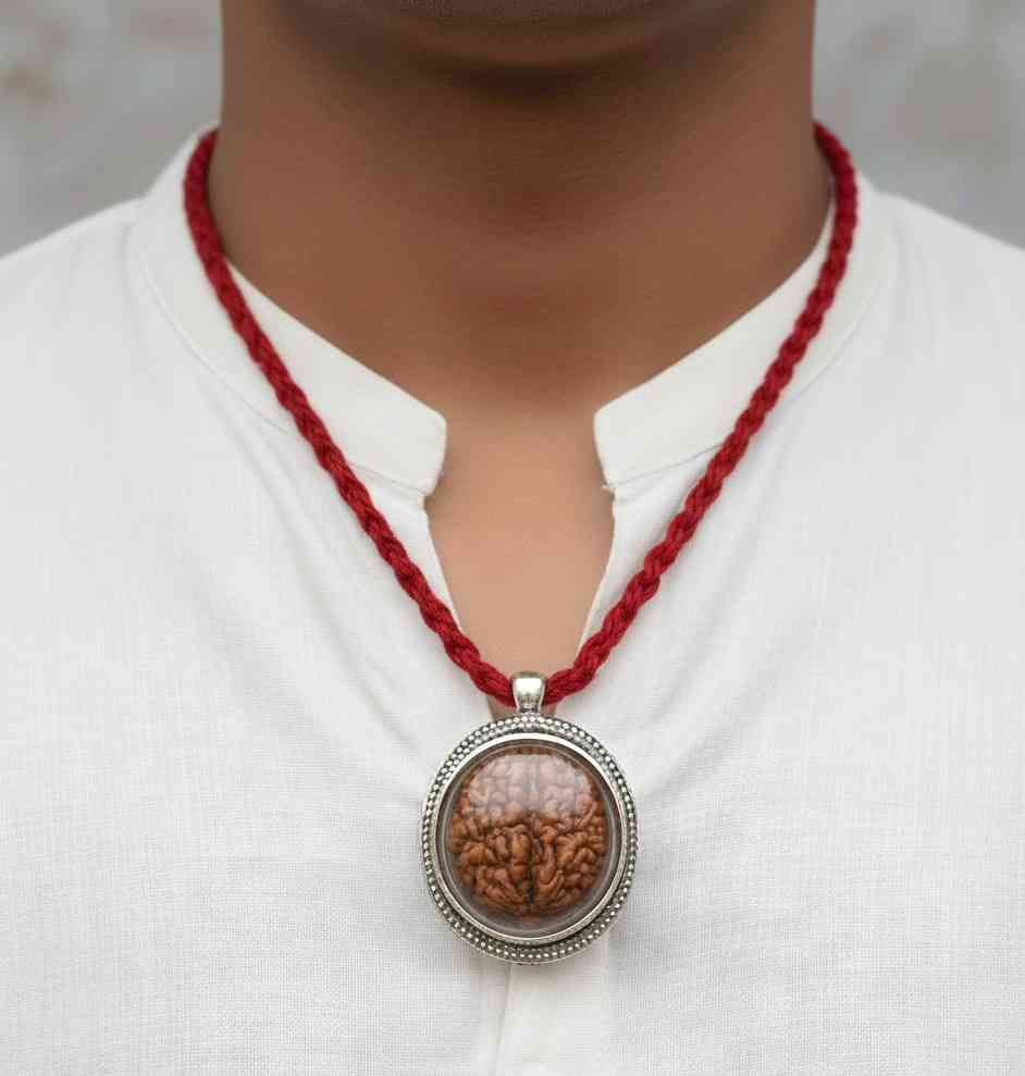 2 Mukhi Rudraksha